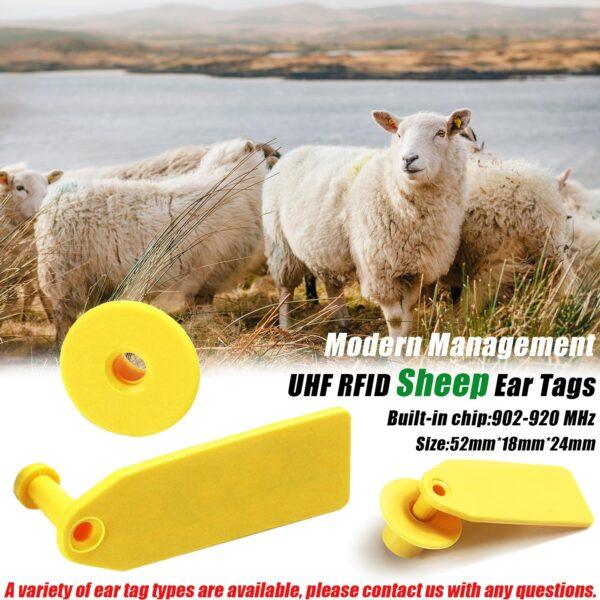 rfid ear tags for sheep