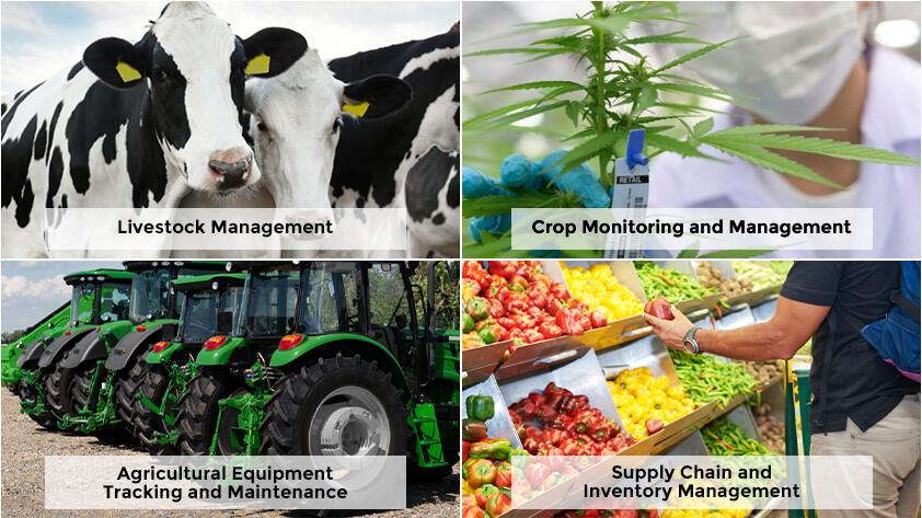 3-key-applications-of-rfid-in-agriculture Key Applications of RFID in Agriculture