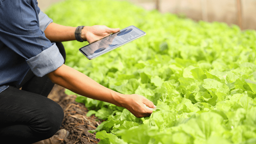 4-benefits-of-rfid-in-agriculture Benefits of RFID in Agriculture