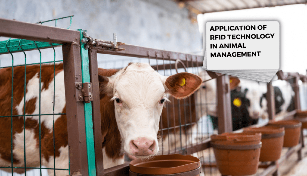 Animal Identification: Application of RFID Technology Animal Identification: Application of RFID Technology