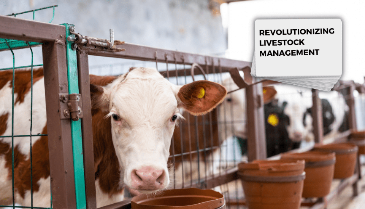RFID technology Revolutionizing Livestock Management: The Role of RFID Technology
