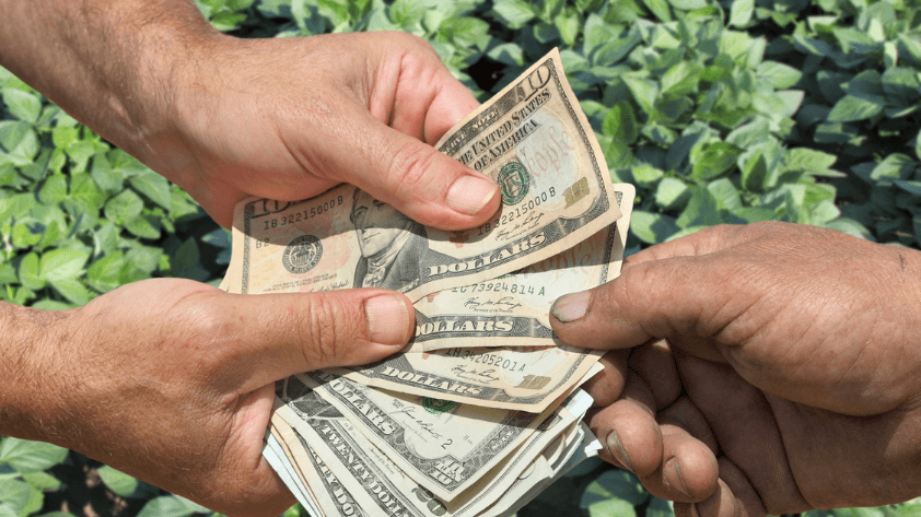5-challenges-and-limitations-of-rfid-in-agriculture Challenges and Limitations of RFID in Agriculture