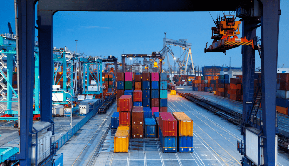 What Are Container Tags? How To Choose One? What Are Container Tags? How To Choose One?