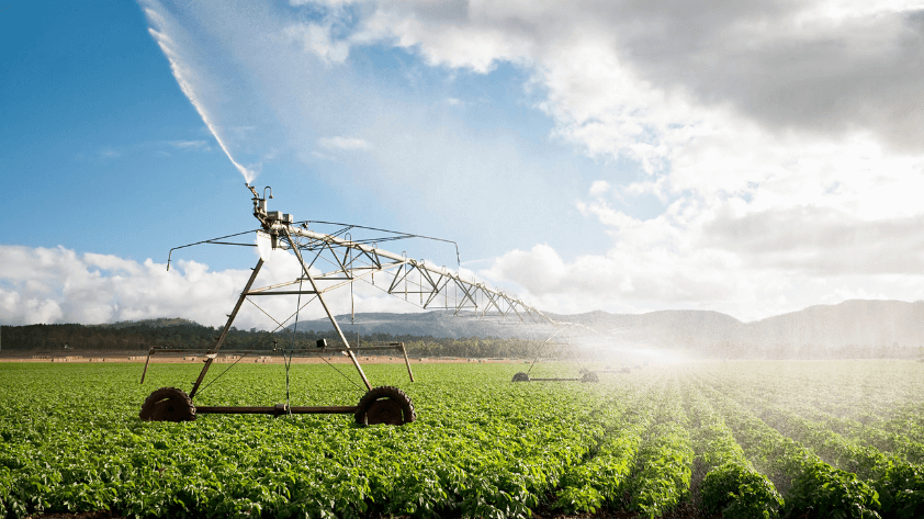 6-future-trends-and-innovations-in-rfid-for-agriculture Future Trends and Innovations in RFID for Agriculture