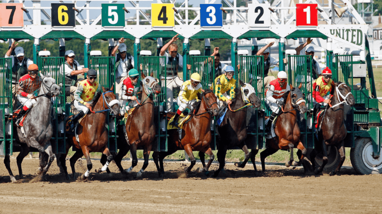 How Is RFID Used For Animal Identification How Is RFID Used For Animal Identification