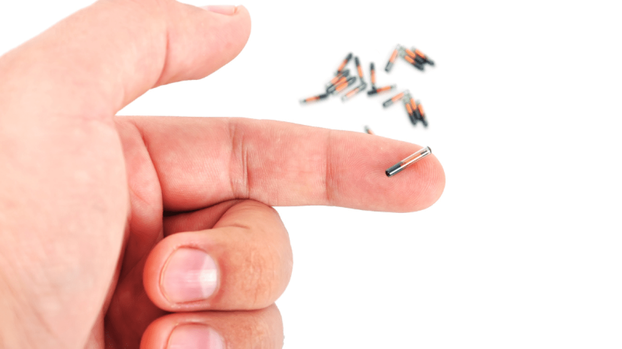 How Small Can An RFID Tag Be and What Are Its Applications How Small Can An RFID Tag Be? What Are Its Applications?