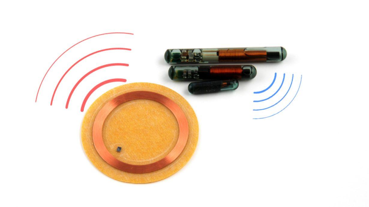 Rfid frequnency What’s the Relationship Between RFID Frequency and Tag Performance?