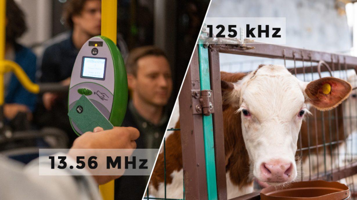 What is the difference between 13.56 MHz and 125kHz RFID tags What is the difference between 13.56 MHz and 125kHz RFID tags?