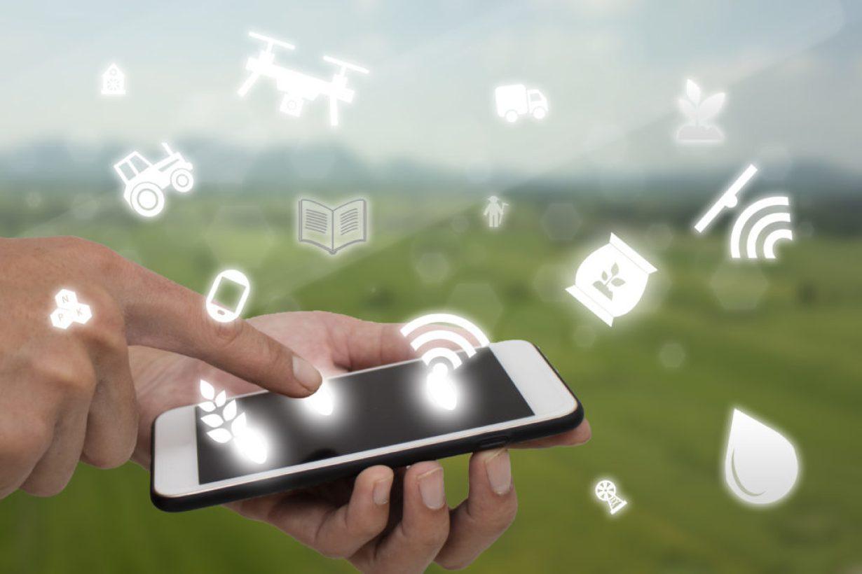 Agricultural RFID IOT Internet of Things and Agricultural Production