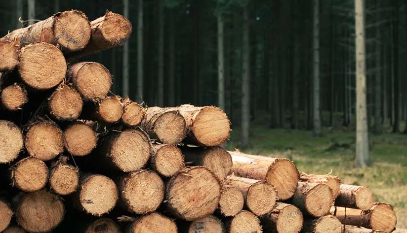 definition-and-importance-of-green-materials Definition and Importance of Green Materials
