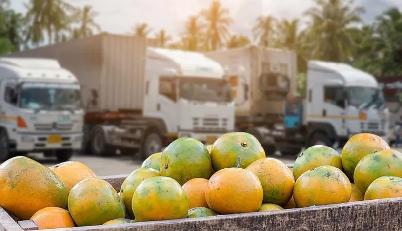 food-supply-chain food supply chain