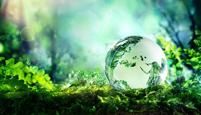ignoring-environmental-protection-and-sustainability Ignoring environmental protection and sustainability