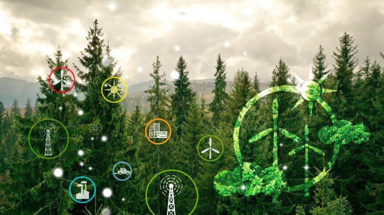 Learn more about Wooden RFID Cards The Eco-Friendly Revolution: Discovering the Advantages of Wooden RFID Cards