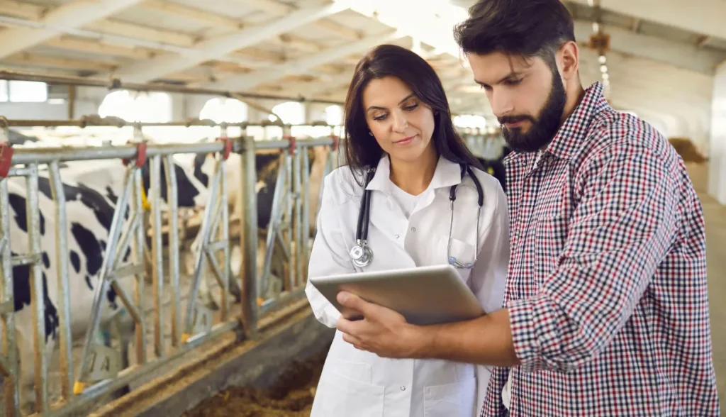 rfid-livestock-tag-improves-animal-health-management-1024x588-1 RFID livestock tag Improves animal Health Management