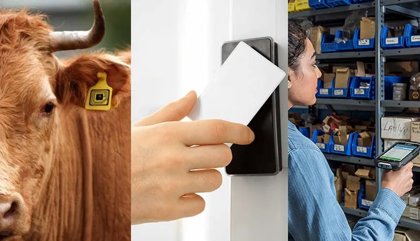 understanding-three-types-rfid-frequencies Understanding Three Types RFID Frequencies