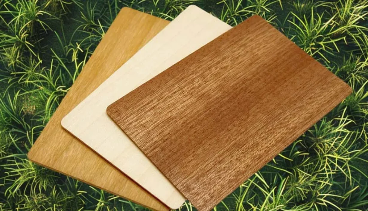 Why Are Eco-Friendly Wooden Cards Gaining Popularity in Hotels Why Are Eco-Friendly Wooden Cards Gaining Popularity in Hotels?
